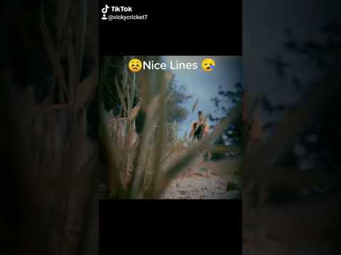 best-tiktok-video/punjabi-sad-status-video-/-punjabi-shayari-status-/-whatsapp-status-videos