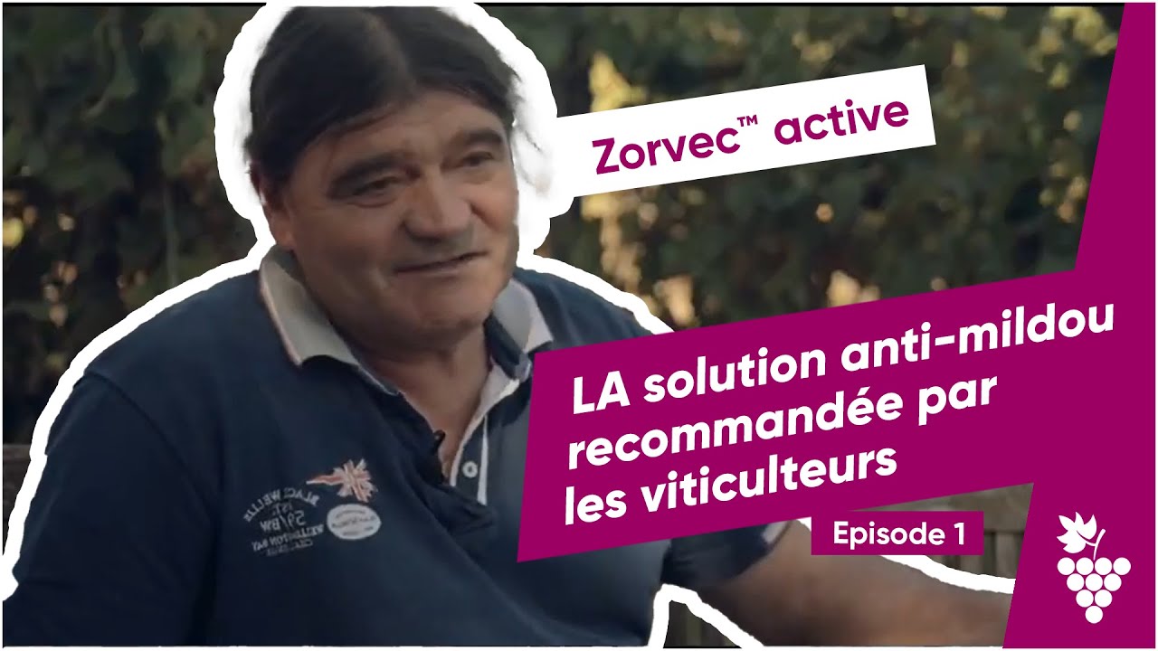 Zorvec™ active : LA solution anti-mildiou recommandée par les viticulteurs - épisode 1