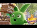 Cartoons for Children | SUNNY BUNNIES - BEST OF HOPPER | Father's Day Special | Cartoon