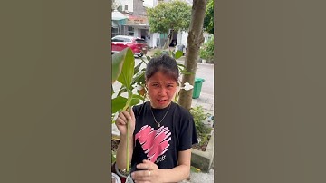 Cô bé có tư duy ngược. She has reverse thinking.#shorts