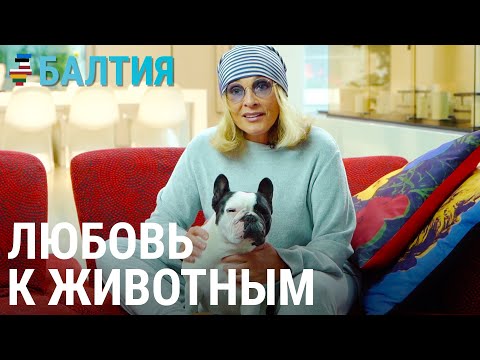Кладбище домашних животных | БАЛТИЯ