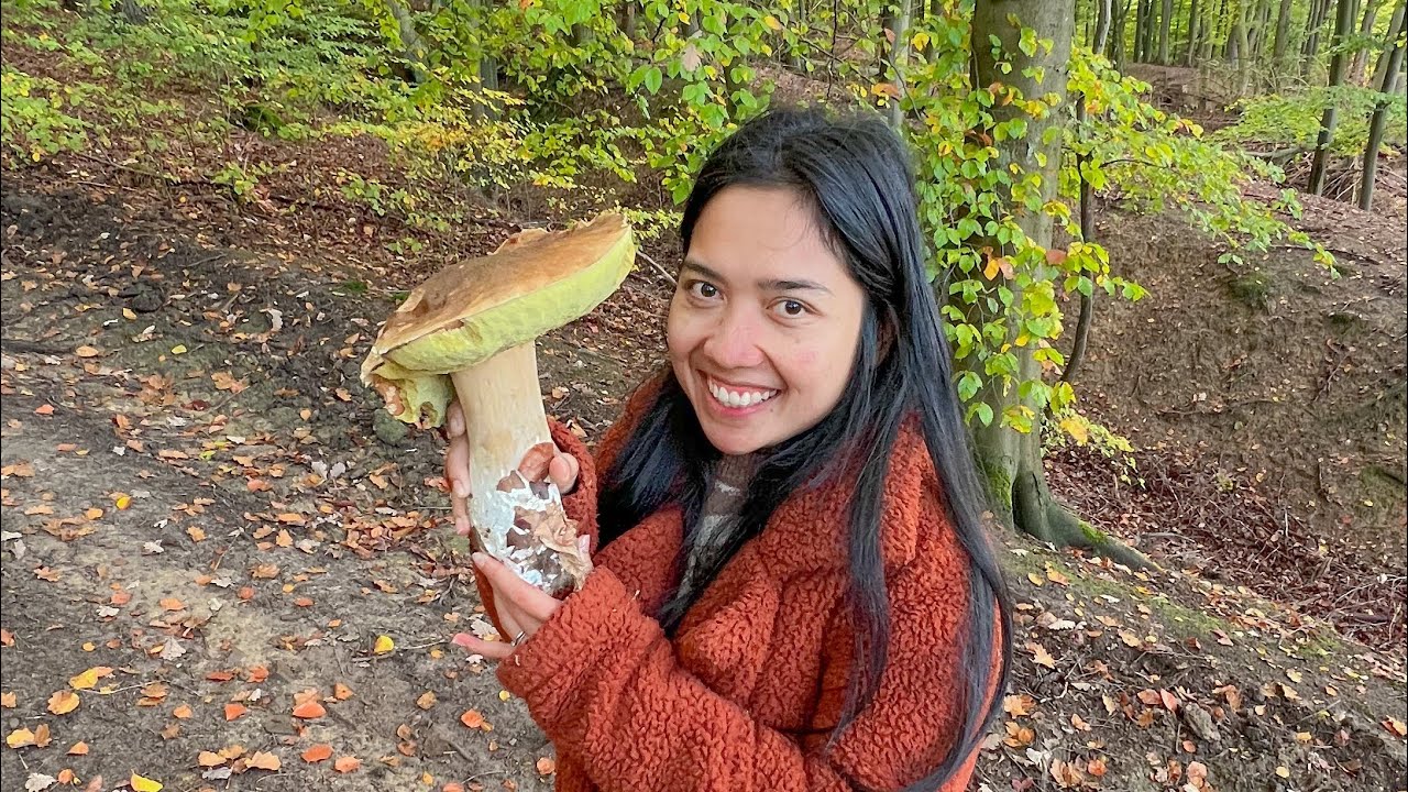 JAMUR PORCINI JUMBO 🍄 Langsung Dimasak 😍 YouTube