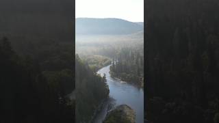 Прочувствуй эту атмосферу. Сибирская тайга и рыбалка 🎣 #рыбалка