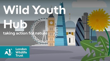 Taking action for nature - Wild Youth Hub