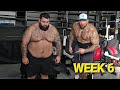 Weight-Loss Journey | Weigh In - Week 5 | Building My Harley Davidson At DirtBags California