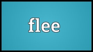 Flee Meaning