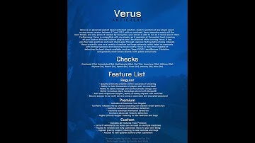 verus anticheat moment