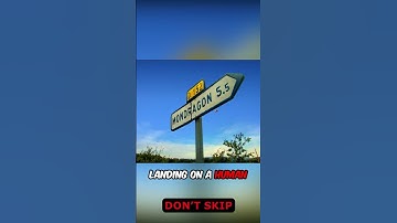 Lazy Bee Defeats The Whole Hive