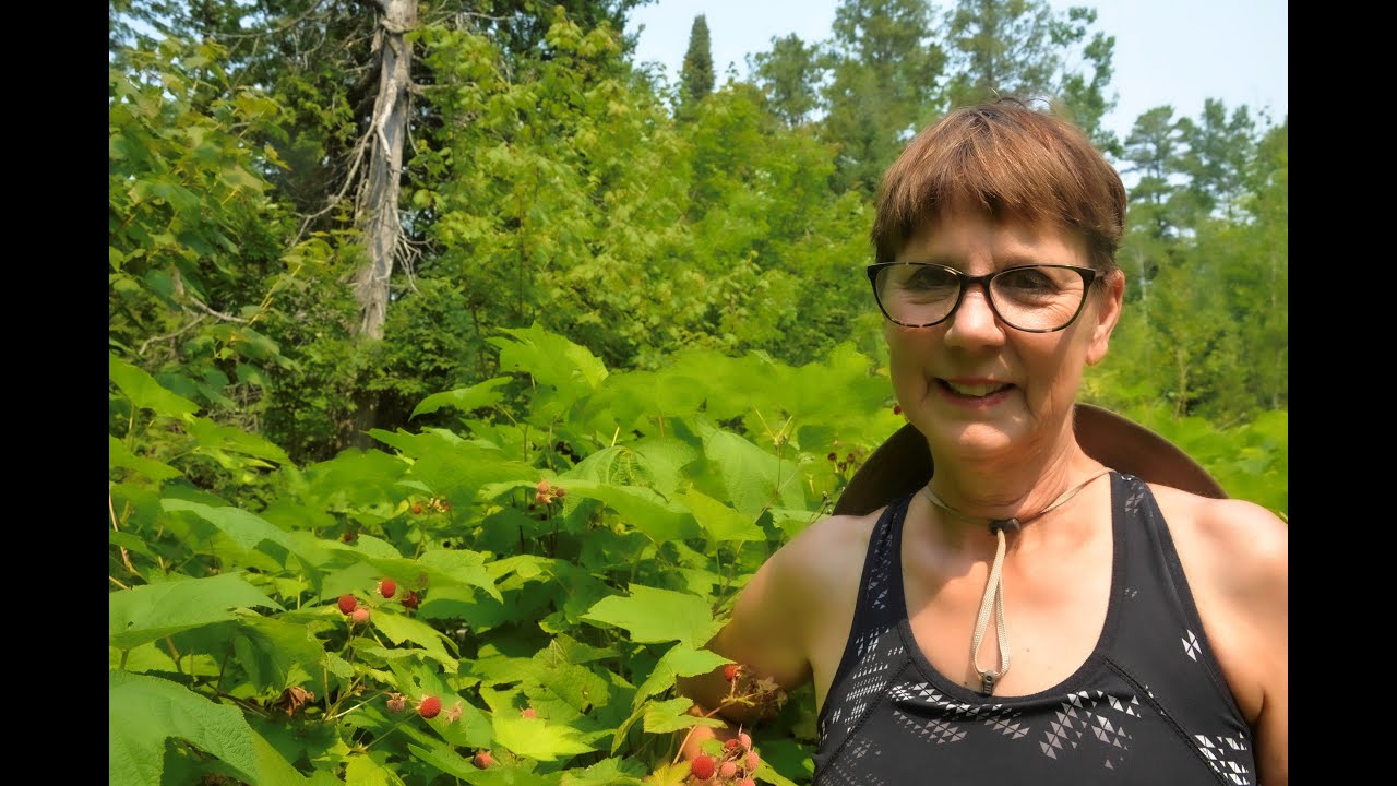 Thimbleberry Picking & Bushwhacking in the Keweenaw!
