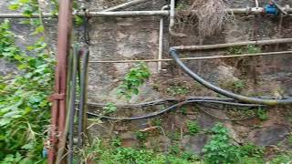 Pozo Candin. Abandonado. Langreo. Asturias. 2 °Vídeo.