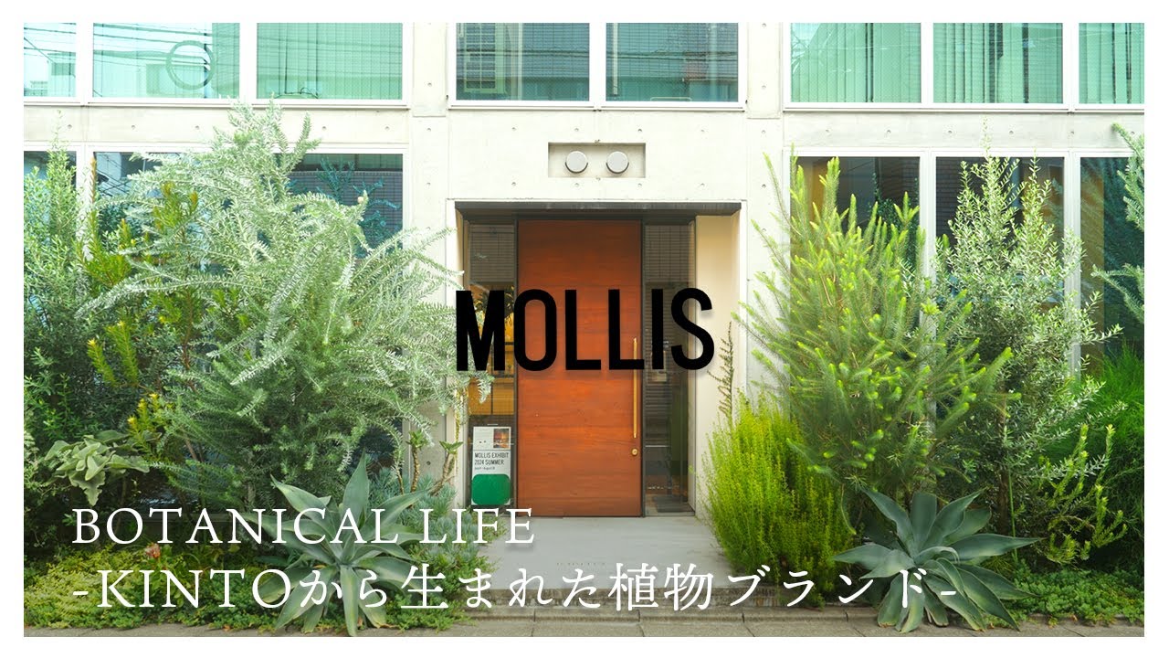 【観葉植物】KINTOから生まれた植物ブランド