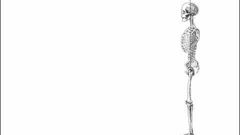 Balance: Move Well, Avoid Injury