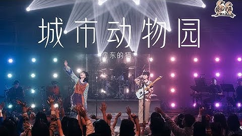 #房东的猫《城市动物园》"他们只是孤独的动物 游荡钢筋丛林的泥土"| #我们民谣2022 EP3纯享 FOLK 2022| iQIYI音乐