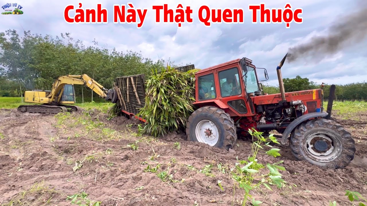 Đất này cũng chịu sụp lắm nha anh em 