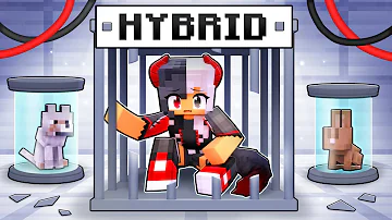 Becoming a HYBRID in Minecraft!
