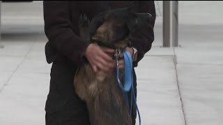 Fallen K9 Officer Jinx honored in Colorado Springs