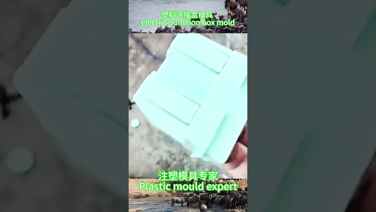 塑料连接盒模具    electric Junction box mold