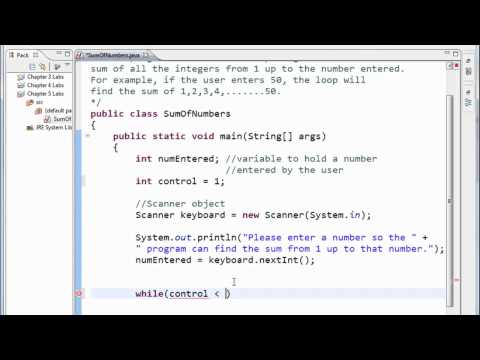 Java Tutorial - 13 - While Loop