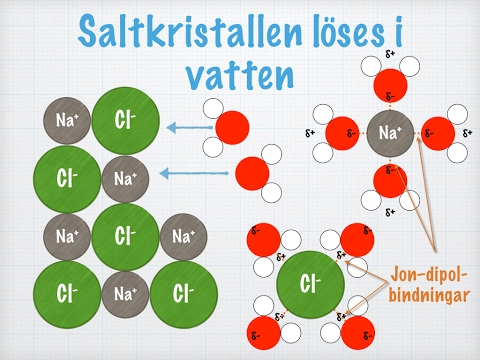 Video: Skillnaden Mellan Löslighet Och Upplösning