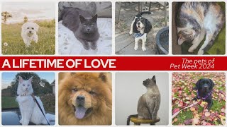 Pet Week 2024: A Lifetime of Love