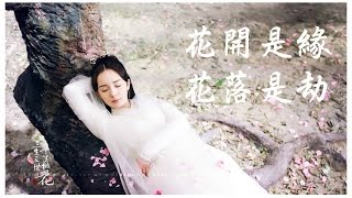 ❀《三生三世十里桃花》：花開是緣，花落是劫。（剪輯版：涼涼）中英字幕❀