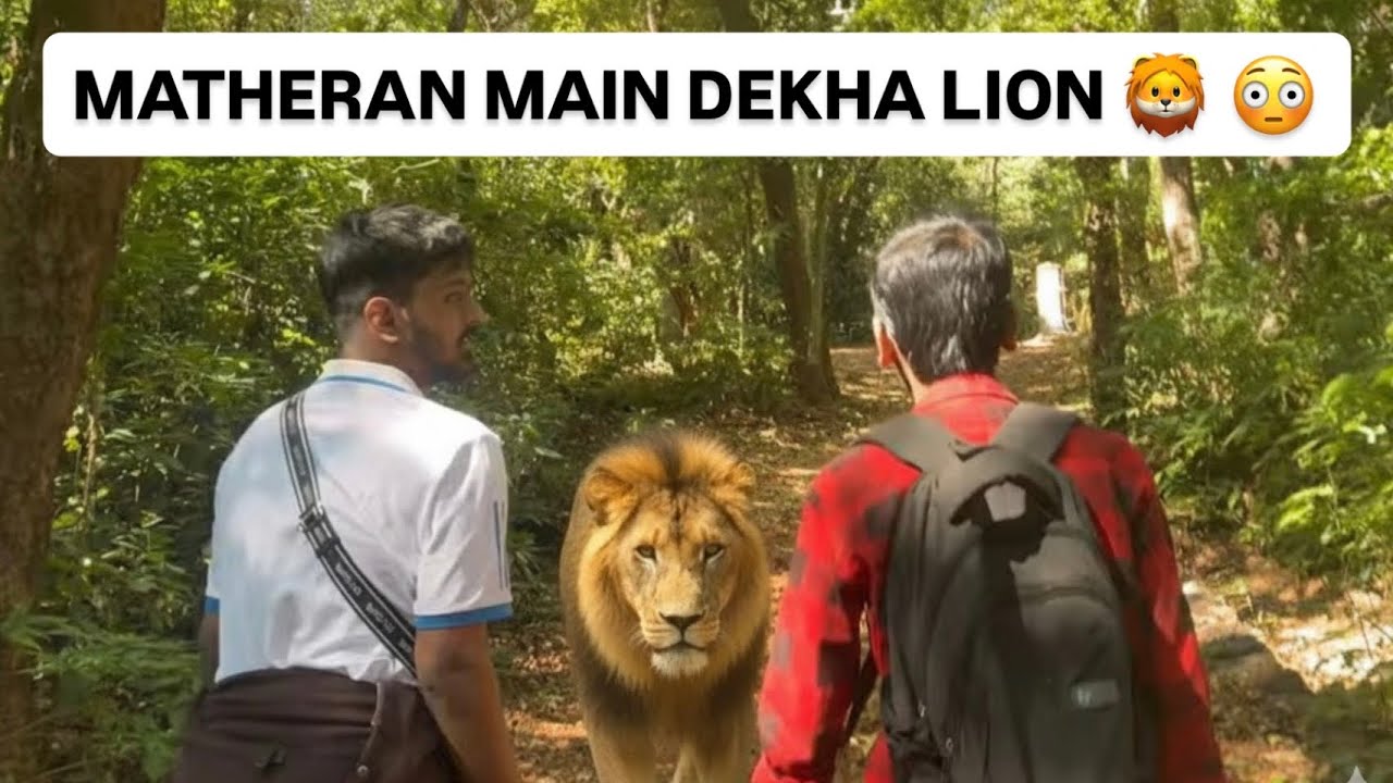 A DAY IN MATHERAN | NATURE THERAPY ON 🌿| MATHERAN HILL STATION | ZEESHAN KHAN