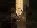 Nail Bomb in The Last of Us