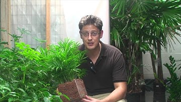 MIPS Project: Greenspacers