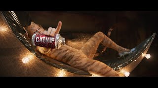 『キャッツ』60秒でわかる！特別紹介映像