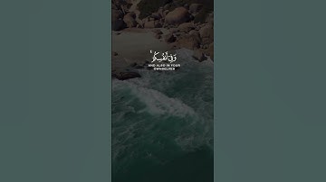 وَفِي الْأَرْضِ آيَاتٌ لِّلْمُوقِنِينَ|سورة الذاريات|القارئ إسلام صبحي.