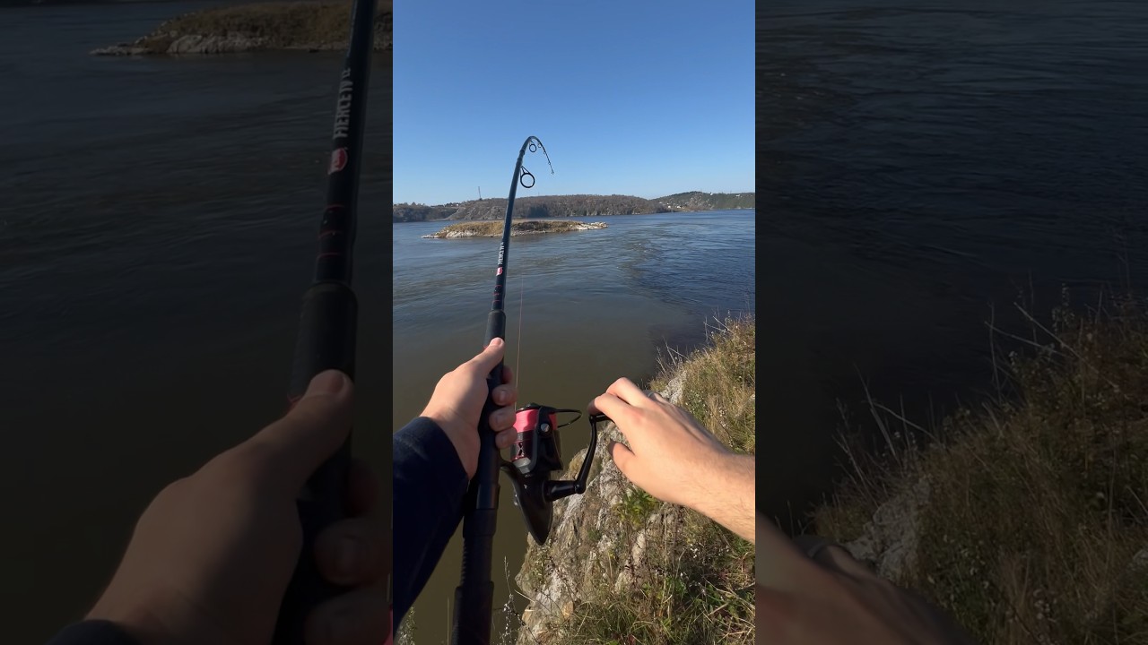 Fishing is on the verge of collapse. 