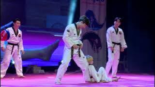 Download lagu K TIGERS in VIET NAM - Part 5-1