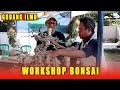 Belajar ilmu bonsai bersama trainer lombok utara workshop