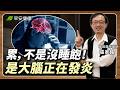 記憶變差、睡醒還是累？ 必吃3類「大腦超級食物」降惱火、終止發炎︱張家銘 基因醫學醫師【早安健康X健康大頭條】
