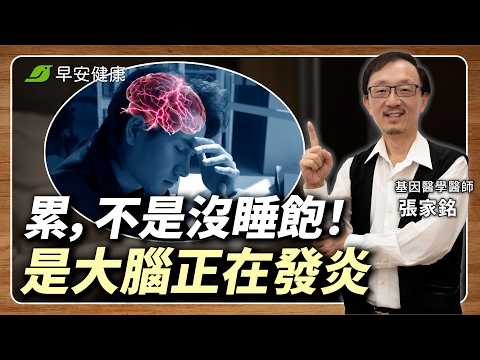 記憶變差、睡醒還是累？ 必吃3類「大腦超級食物」降惱火、終止發炎︱張家銘 基因醫學醫師【早安健康X健康大頭條】