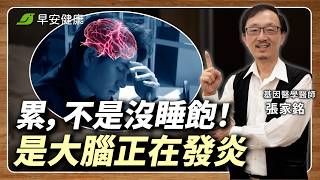 記憶變差、睡醒還是累？ 必吃3類「大腦超級食物」降惱火、終止發炎︱張家銘 基因醫學醫師【早安健康X健康大頭條】