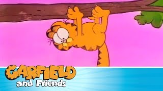 Cat In A Tree - Garfield & Friends
