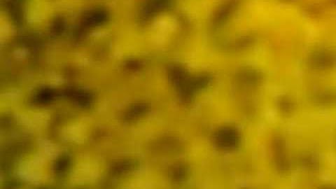 camera and projector automation with Cinelerra