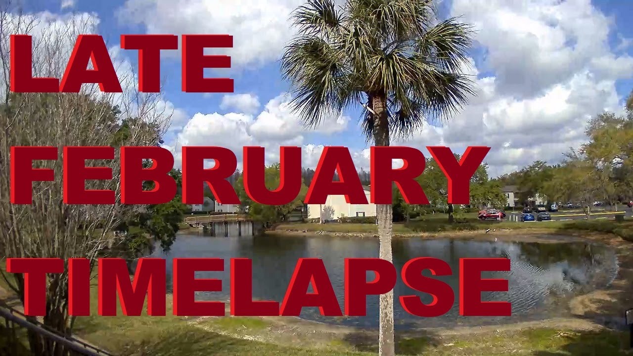 February 28th 2023 Florida Timelapse - Hot & Muggy