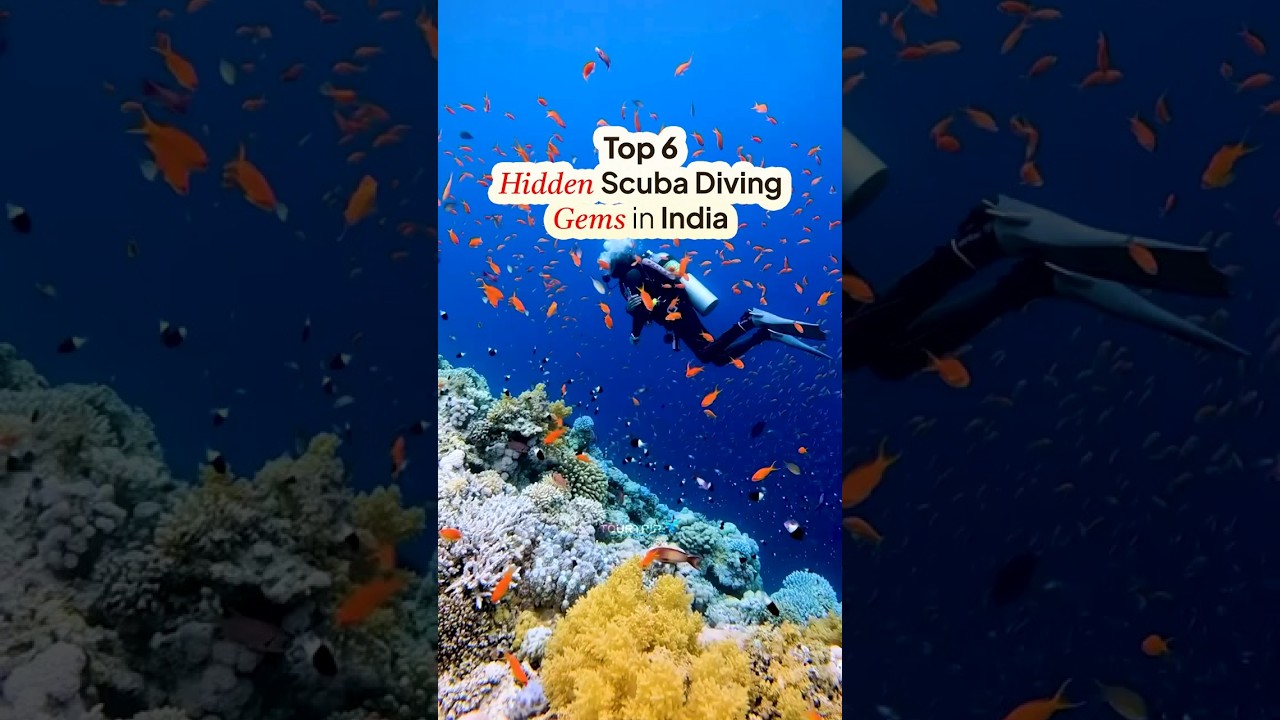 Top 6 Hidden Scuba Diving Gems in India | Unexplored Underwater Destinations Top 6 Hidden Scuba Diving Gems in India | Unexplored Underwater Destinations