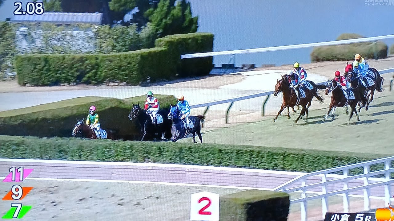 小倉5レース障害オープン スズカハービン