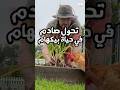تحول صادم في حياة بيكهام 🤯
