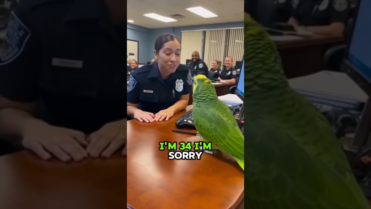 others funny animal reaction 