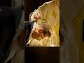 Christ est ressuscité! Il est vraiment ressuscité. Alléluia