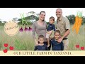 Our little organic farm in Tanzania ǀ Makasa Tanzania Safari ǀ VLOG #50