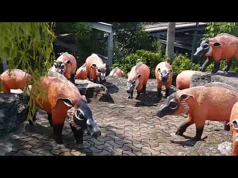 Video: Qhov Chaw Zoo Nkauj