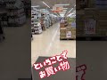 【デコトラトラブル】ヤンキーホーンがならなくなった😢なぜだ! #デコトラ #decotora #アートトラック #07エルフ #デコトラけんチャンネル
