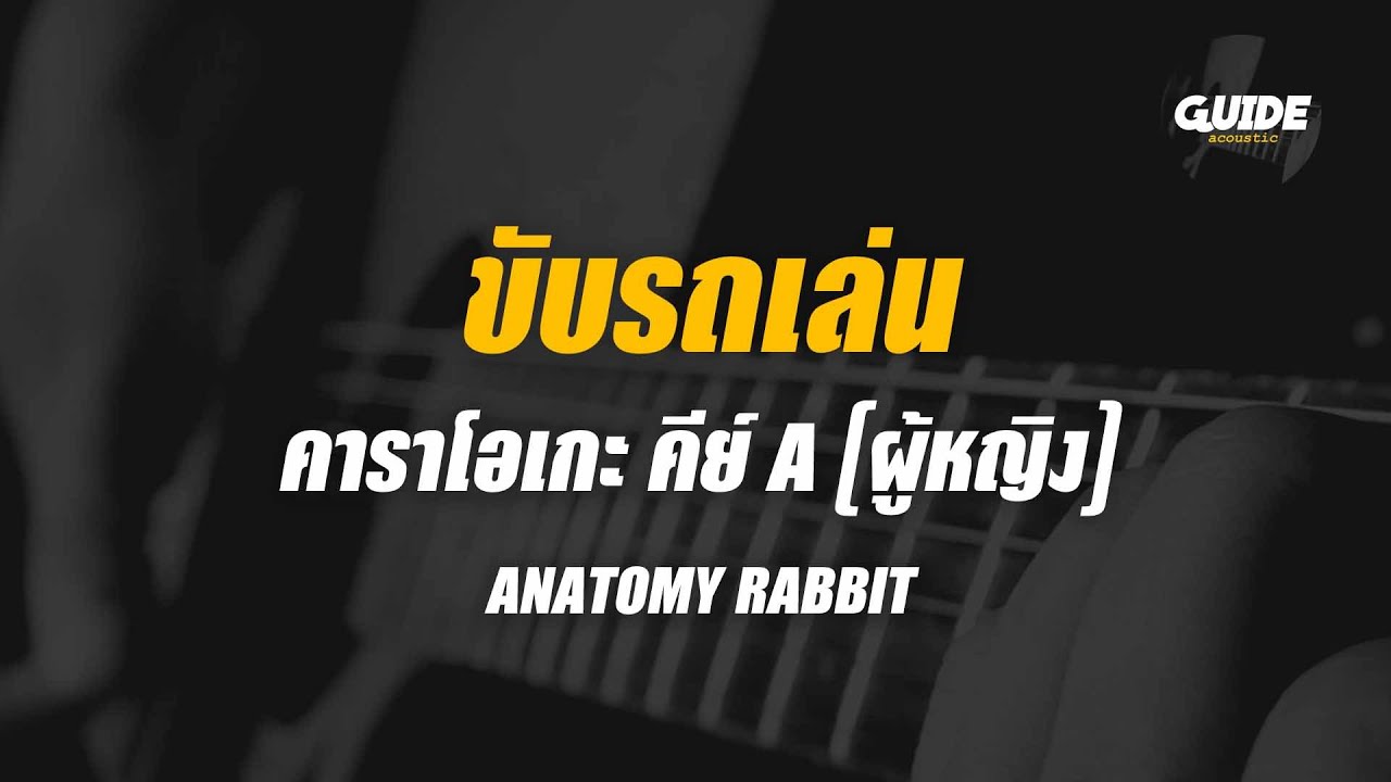 ขับรถเล่น - anatomy rabbit cover by Guide acoustic คาราโอเกะ กีต้าร์ ...