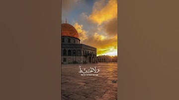 #قرآن #قران_كريم #تلاوة_خاشعة