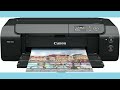 Canon PRO-310 Review: The New King of 13-inch Photo Printers?
